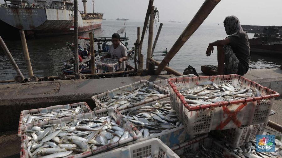Pekerja mengangkat ikan asin di kawasan Cilincing, Jakarta Utara, Jumat (23/10). Memasuki musim penghujan dan isu Badai La Nina menjadi momok yang cukup mengkhawatirkan bagi nelayan. Menurut salah satu nelayan Ros mengatakan nelayan kerap mengalami masalah saat menjaring ikan di musim hujan.