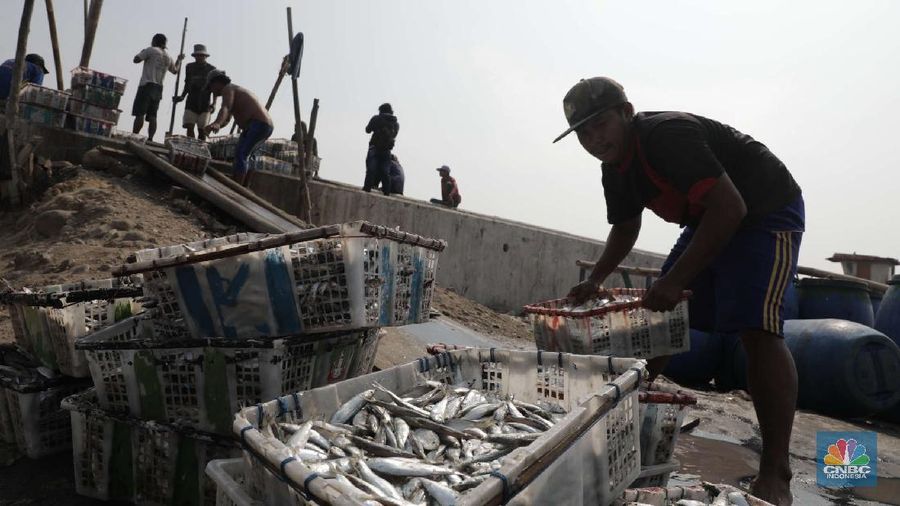 Pekerja mengangkat ikan asin di kawasan Cilincing, Jakarta Utara, Jumat (23/10). Memasuki musim penghujan dan isu Badai La Nina menjadi momok yang cukup mengkhawatirkan bagi nelayan. Menurut salah satu nelayan Ros mengatakan nelayan kerap mengalami masalah saat menjaring ikan di musim hujan. 