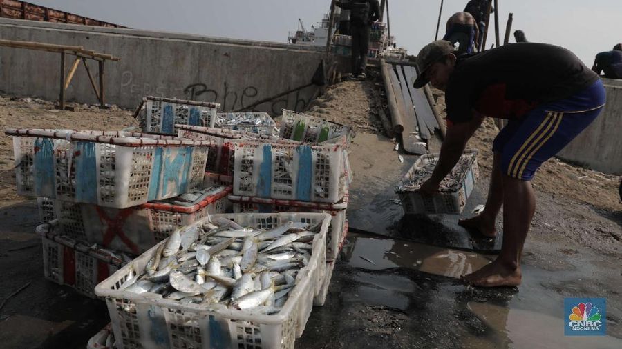Pekerja mengangkat ikan asin di kawasan Cilincing, Jakarta Utara, Jumat (23/10). Memasuki musim penghujan dan isu Badai La Nina menjadi momok yang cukup mengkhawatirkan bagi nelayan. Menurut salah satu nelayan Ros mengatakan nelayan kerap mengalami masalah saat menjaring ikan di musim hujan. 