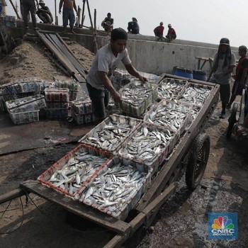 Nestapa Nelayan Dihantam Pandemi Covid-19 Hingga Cuaca Buruk
