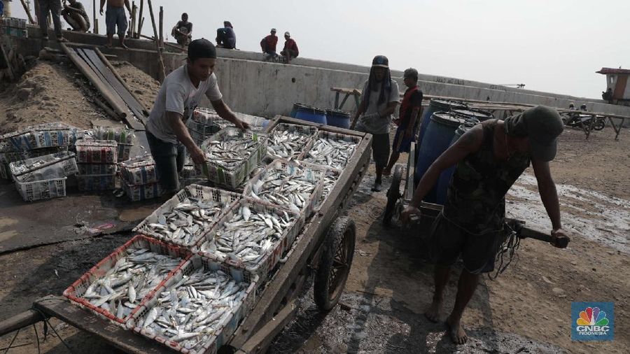 Pekerja mengangkat ikan asin di kawasan Cilincing, Jakarta Utara, Jumat (23/10). Memasuki musim penghujan dan isu Badai La Nina menjadi momok yang cukup mengkhawatirkan bagi nelayan. Menurut salah satu nelayan Ros mengatakan nelayan kerap mengalami masalah saat menjaring ikan di musim hujan. 