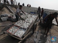 Nestapa Nelayan Dihantam Pandemi Covid-19 Hingga Cuaca Buruk