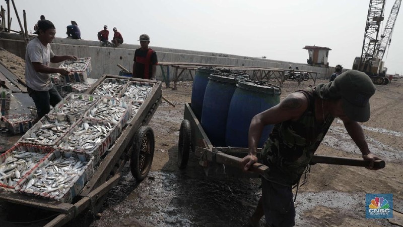 Pekerja mengangkat ikan asin di kawasan Cilincing, Jakarta Utara, Jumat (23/10). Memasuki musim penghujan dan isu Badai La Nina menjadi momok yang cukup mengkhawatirkan bagi nelayan. Menurut salah satu nelayan Ros mengatakan nelayan kerap mengalami masalah saat menjaring ikan di musim hujan. 