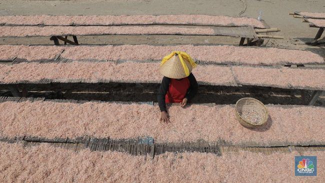 Waspada La Nina Awal 2026, Momok Ini Bisa Jadi Ancaman RI!