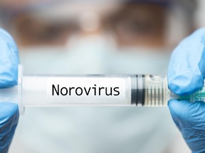 Video: Ratusan Penumpang di Kapal Pesiar Kena Wabah Norovirus, Alami Muntah-Diare