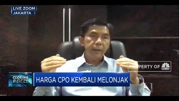 La Nina, Industri Sawit Siapkan Antisipasi Jaga Produksi CPO
