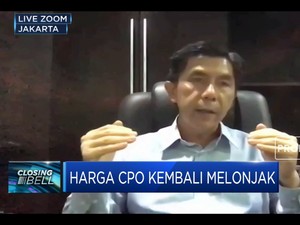 La Nina, Industri Sawit Siapkan Antisipasi Jaga Produksi CPO