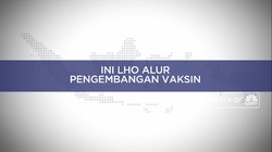 Ini Lho Alur Pengembangan Vaksin