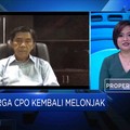 Efisien & Lebih Produktif, Cara Industri Sawit Hadapi Pandemi