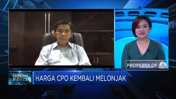 Efisien & Lebih Produktif, Cara Industri Sawit Hadapi Pandemi