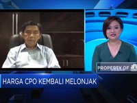 Efisien & Lebih Produktif, Cara Industri Sawit Hadapi Pandemi