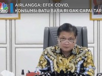 Airlangga: Efek Covid, Konsumsi Batu Bara RI Gak Capai Target