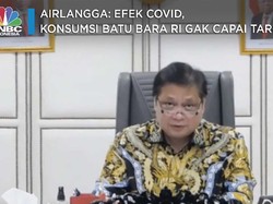 Airlangga: Efek Covid, Konsumsi Batu Bara RI Gak Capai Target