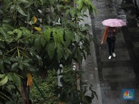 Warga Jakarta Bingung Mendadak Hujan, Ini Penjelasan BMKG