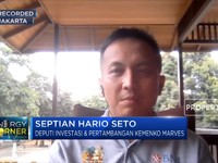Kemenko Marves: Hilirisasi Batu Bara Fokus di Methanol & DME