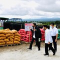 Proyek Lumbung Pangan Jokowi Ada Progres, Ini Perkembangannya