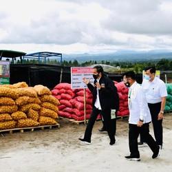 Proyek Lumbung Pangan Jokowi Ada Progres, Ini Perkembangannya
