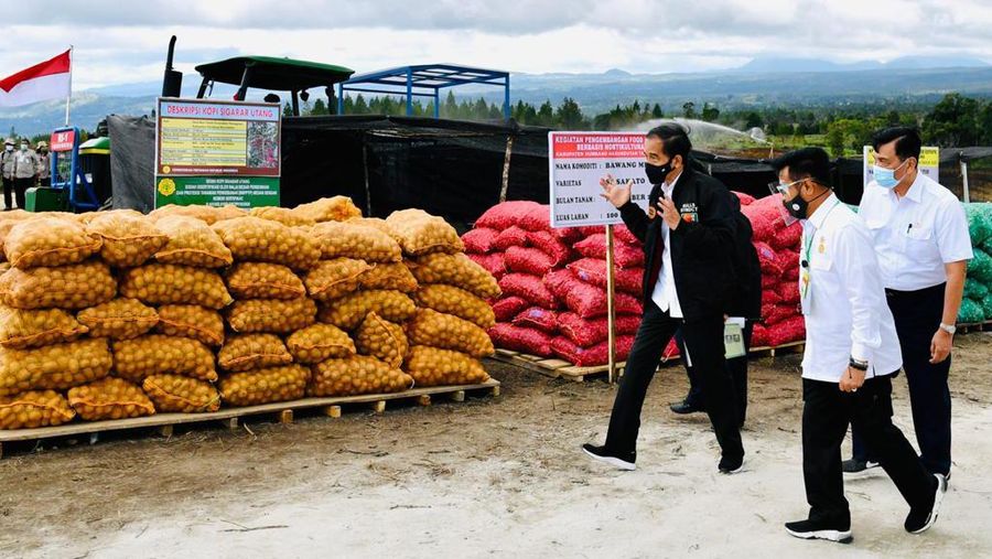 Presiden Joko Widodo (Jokowi) meninjau pengembangan lumbung pangan raksasa yang berada di Kabupaten Humbang Hasundutan, Sumatera Utara. (Foto: Laily Rachev - Biro Pers Sekretariat Presiden)