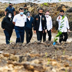 Tanpa Prabowo, Jokowi Blusukan ke Lokasi Lumbung Pangan