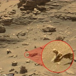 Viral Bayangan Alien Tertangkap Satelit Google, Begini Tampangnya