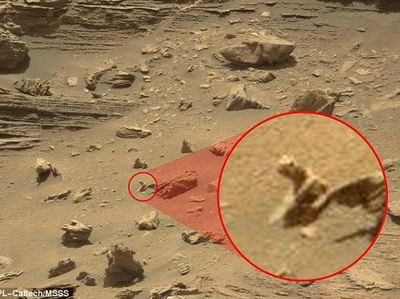 Viral Bayangan Alien Tertangkap Kamera, Begini Penampakannya