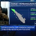 Proyek Food Estate, Kementerian ATR Identifikasi 78 Ribu Ha