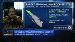 Proyek Food Estate, Kementerian ATR Identifikasi 78 Ribu Ha