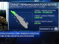 Proyek Food Estate, Kementerian ATR Identifikasi 78 Ribu Ha