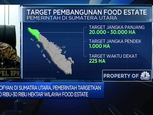 Proyek Food Estate, Kementerian ATR Identifikasi 78 Ribu Ha