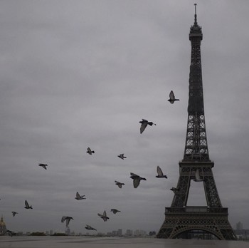Bak Kota Mati, Pemandangan Terbaru Lockdown di Paris