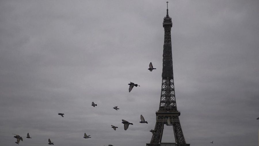 APTOPIX Virus Outbreak France
