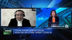 Soal Rencana Pajak Progresif Ekspor CPO, Ini Tanggapan Gapki