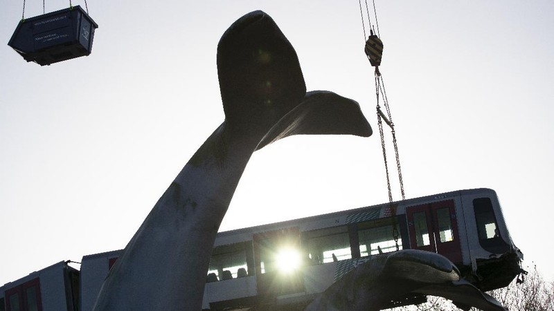 The whale's tail of a sculpture caught the front carriage of a metro train as it rammed through the end of an elevated section of rails with the driver escaping injuries in Spijkenisse, near Rotterdam, Netherlands, Monday, Nov. 2, 2020. (AP Photo/Peter Dejong)