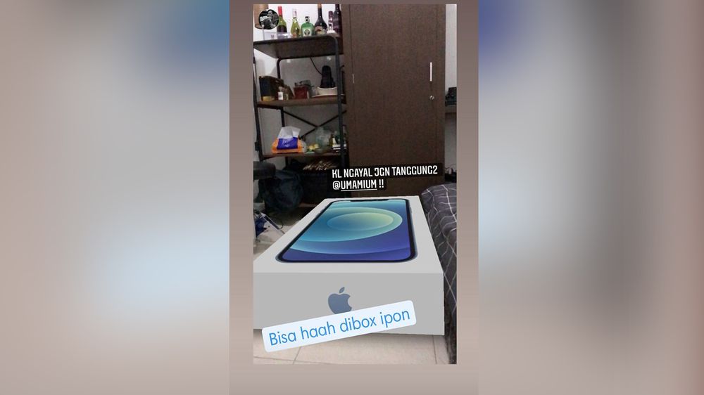 Setelah Ramai PS5, Kini Filter Kardus Iphone 12 Ramai di  