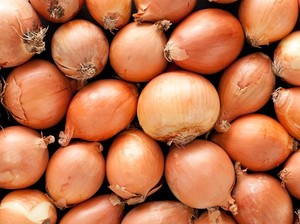 133 Ton Bawang Bombay Ilegal Diamankan di Semarang