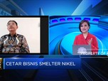 Cadangan Nikel RI Topang Optimisme Pengusaha Smelter