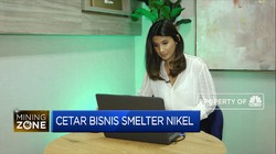 Miliki 11 Smelter, IMIP Targetkan TKA Hanya Mencapai 6%