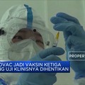 Brasil Setop Uji Klinis Vaksin Covid-19 Sinovac