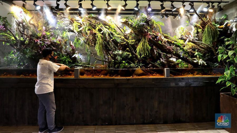 Salah satu karyawan Nick Aquascape melakukan penyelesaian pembuatan aquascape di Serpong, Tangerang Selatan, Rabu (11/11/2020). Meningkatnya jumlah pesanan aquascape selama pandemi Covid-19 membuat Nickson Marpaung (owner) harus menambah jumlah karyawannya. (CNBC Indonesia/Tri Susilo) 
Penjualan aquascape meningkat drastis selama pandemi Covid-19, Nickson selaku owner meningkatnya bisa 100% . 
