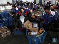 Intip Potret Kesibukan Jasa Ekspedisi Saat Harbolnas 11.11