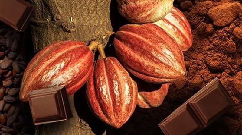 Sepatu yang terbuat dari cokelat terlihat di pameran cokelat 