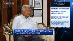 Purnomo Yusgiantoro: EBT RI Terkendala di Nilai Keekonomian
