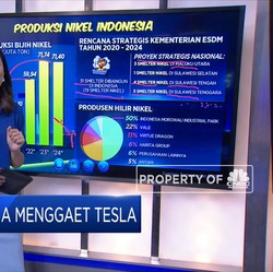 Ambisi Indonesia Menggaet Tesla