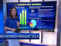 Ambisi Indonesia Menggaet Tesla