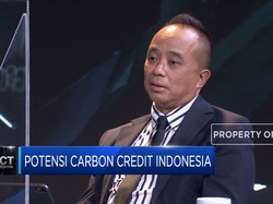 Begini Potensi Carbon Credit Indonesia