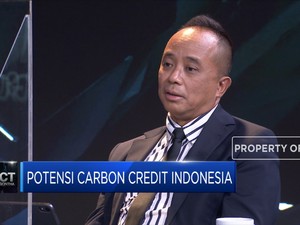 Begini Potensi Carbon Credit Indonesia