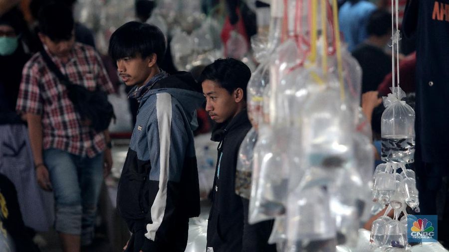 Sejumlah warga mengamati ikan-ikan cupang yang dipasarkan di Pasar Ikan Hias Parung, Bogor, Senin (16/11/2020). (CNBC Indonesia/Muhammad Sabki)