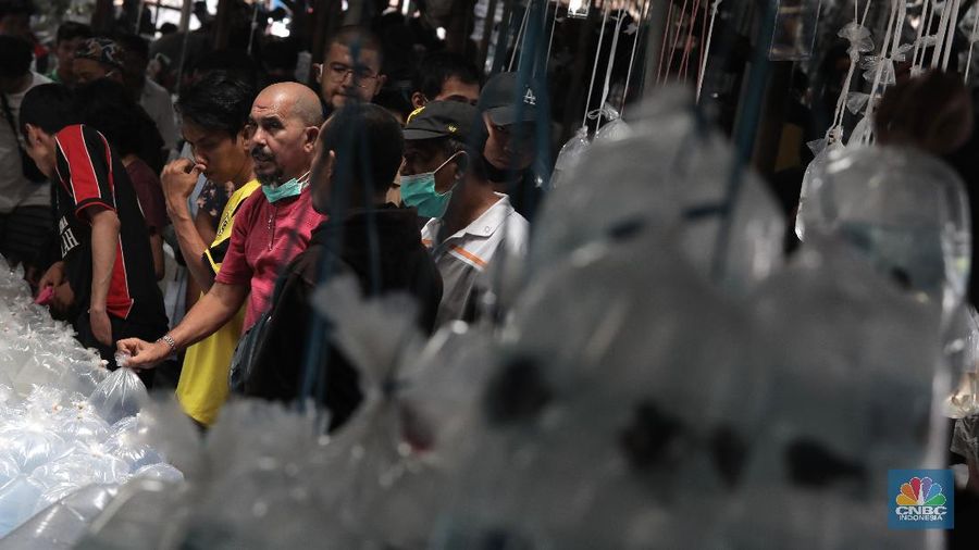 Sejumlah warga mengamati ikan-ikan cupang yang dipasarkan di Pasar Ikan Hias Parung, Bogor, Senin (16/11/2020). (CNBC Indonesia/Muhammad Sabki)