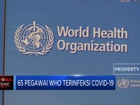 65 Pegawai WHO Dikabarkan Terinfeksi Covid-19