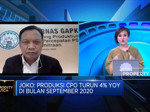Gapki: Ekspor CPO ke AS Masih Berpeluang Naik di Masa Biden